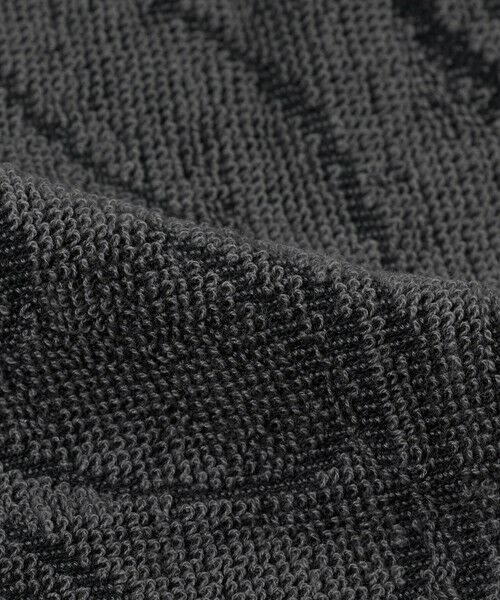 green label relaxing / グリーンレーベル リラクシング ハンカチ | 【WEB限定】＜THE NORTH FACE＞ライト コットン タオル S | 詳細2