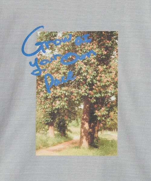 green label relaxing / グリーンレーベル リラクシング カットソー | 【別注】＜Various Timeless Arts＞プリント ロングスリーブTシャツ | 詳細22