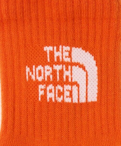 green label relaxing / グリーンレーベル リラクシング ソックス | ＜THE NORTH FACE＞ロゴ 3P クルーソックス / キッズ 16cm-18cm | 詳細14