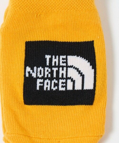 green label relaxing / グリーンレーベル リラクシング ソックス | 【WEB限定】＜THE NORTH FACE＞オーガニック 3Pソックス / キッズ 10cm-12cm | 詳細7