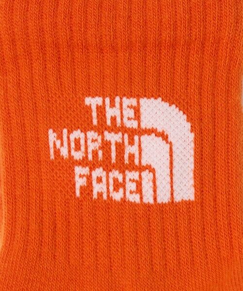 green label relaxing / グリーンレーベル リラクシング ソックス | ＜THE NORTH FACE＞ロゴ 3P クルーソックス / キッズ 19cm-21cm | 詳細12