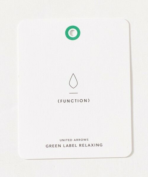 green label relaxing / グリーンレーベル リラクシング シャツ・ブラウス | エブリット コットン ソリッド リラックス スナップ ボタンダウン シャツ -イージーアイロン- | 詳細11