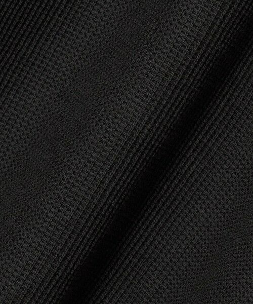green label relaxing / グリーンレーベル リラクシング ポロシャツ | ワッフル 長袖 ポロシャツ | 詳細10