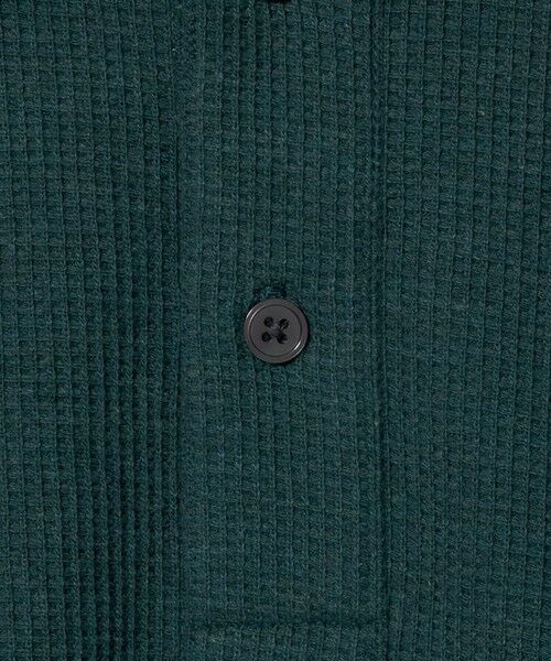 green label relaxing / グリーンレーベル リラクシング ポロシャツ | ワッフル 長袖 ポロシャツ | 詳細14