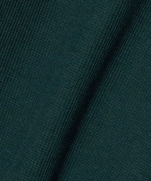 green label relaxing / グリーンレーベル リラクシング ポロシャツ | ワッフル 長袖 ポロシャツ | 詳細15