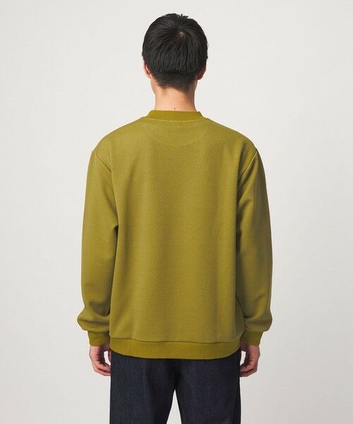 green label relaxing / グリーンレーベル リラクシング カットソー | ツイル パフ クルーネック 長袖 カットソー | 詳細14