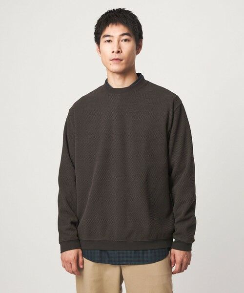 green label relaxing / グリーンレーベル リラクシング カットソー | モール ジャガード クルーネック 長袖 カットソー（DK.BROWN）