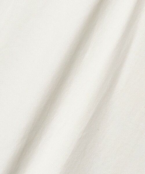 green label relaxing / グリーンレーベル リラクシング カットソー | 【WEB限定】＜Hanes＞SHIRO 長袖 Tシャツ | 詳細5