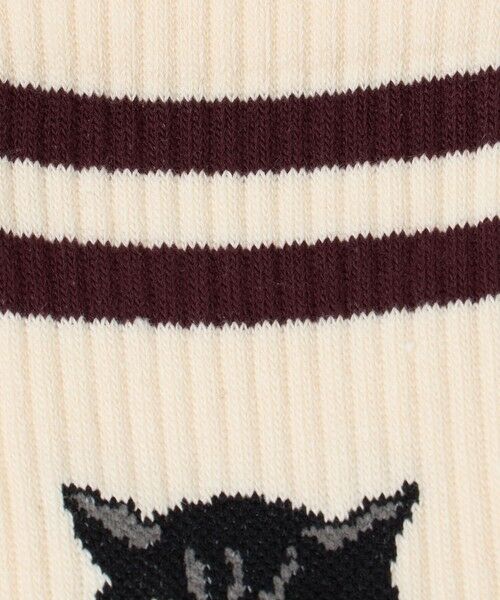 green label relaxing / グリーンレーベル リラクシング ソックス | ＜ROSTER SOX＞キャット ソックス | 詳細1