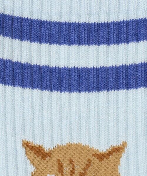 green label relaxing / グリーンレーベル リラクシング ソックス | ＜ROSTER SOX＞キャット ソックス | 詳細5