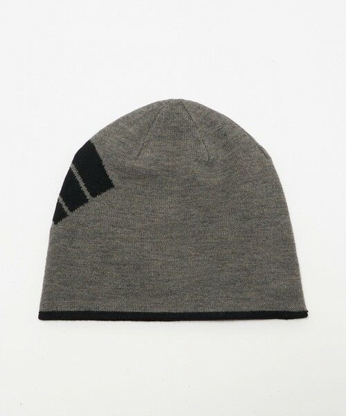 green label relaxing / グリーンレーベル リラクシング ニットキャップ | 【WEB限定】＜THE NORTH FACE＞リバーシブルTNFバナービーニー ニットキャップ | 詳細1