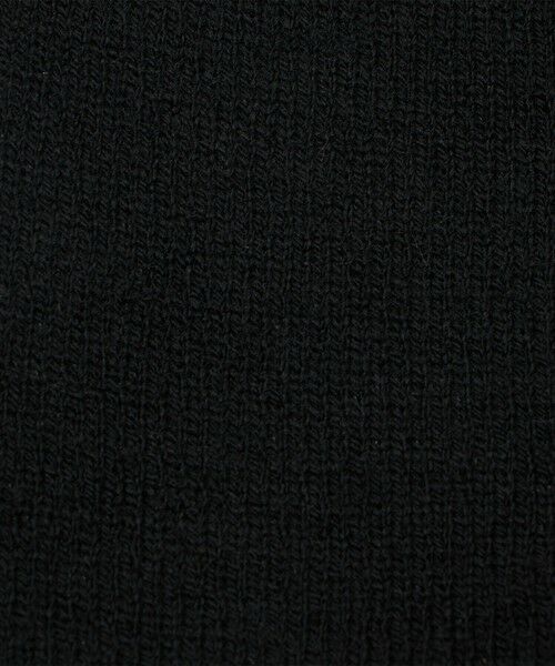 green label relaxing / グリーンレーベル リラクシング ニットキャップ | 【WEB限定】＜THE NORTH FACE＞リバーシブルTNFバナービーニー ニットキャップ | 詳細7