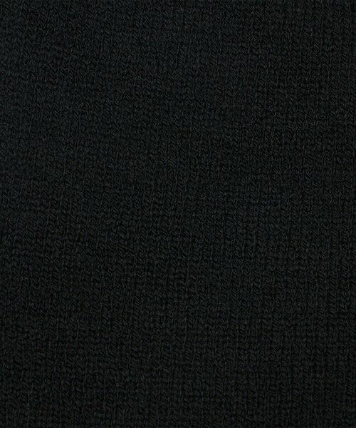 green label relaxing / グリーンレーベル リラクシング ニットキャップ | 【WEB限定】＜THE NORTH FACE＞リバーシブルTNFバナービーニー ニットキャップ | 詳細16