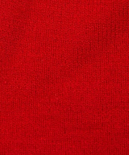 green label relaxing / グリーンレーベル リラクシング ニットキャップ | 【WEB限定】＜THE NORTH FACE＞リバーシブルTNFバナービーニー ニットキャップ | 詳細12