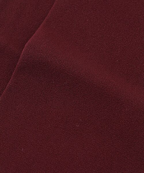 greennout / グリーンノート ストッキング・タイツ・その他 | 80dタイツ | 詳細3