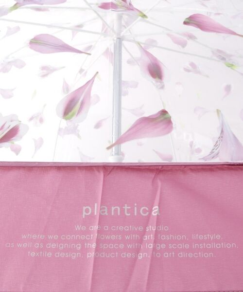 grove / グローブ 傘 | 【WEB限定】plantica　プラスチックアンブレラ（長傘） | 詳細2