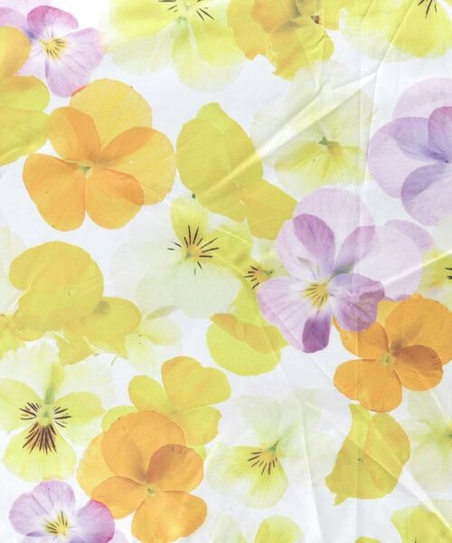 grove / グローブ 傘 | 遮光軽量プランティカフラワープリント | 詳細5