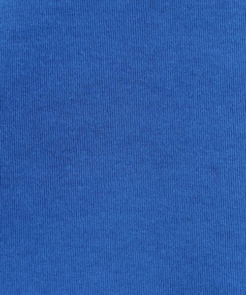 grove / グローブ カットソー | スムースボートネックTシャツ | 詳細16