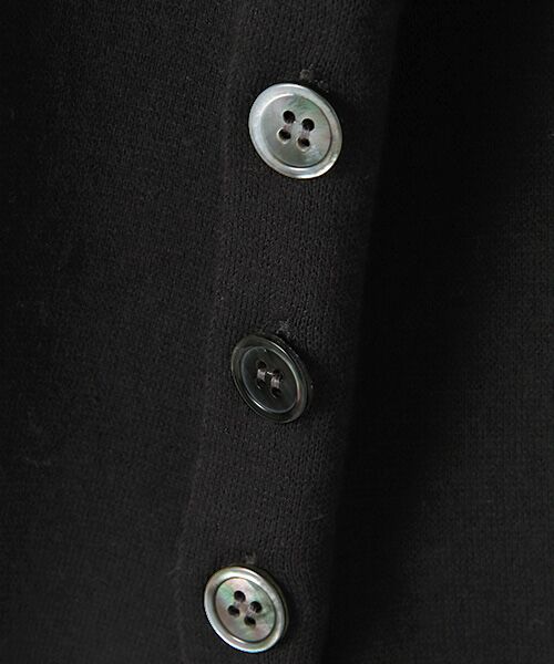 Harriss / ハリス ニット・セーター | スプリングミラノリブボタンスリットセーター | 詳細1