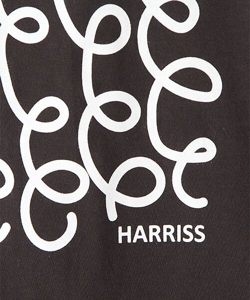Harriss / ハリス Tシャツ | コットン天竺ループプリントTシャツ | 詳細5