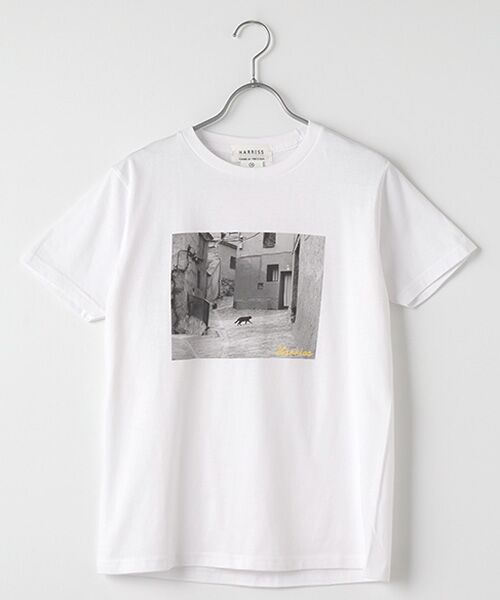 Harriss/ハリス riginal Print T-shirt CAT イエロー 36 Harriss/ハリス riginal Print T-shirt CAT イエロー 36