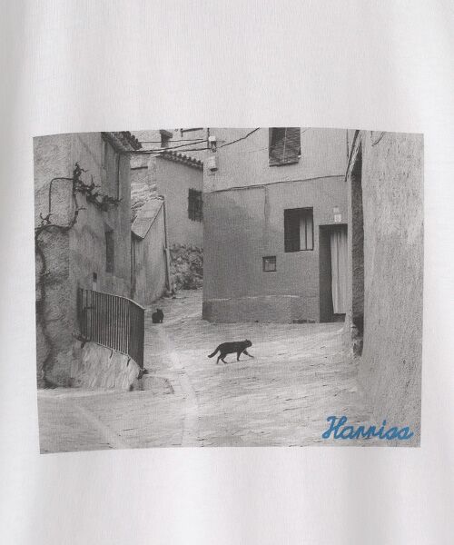 Harriss / ハリス Tシャツ | riginal Print T-shirt　CAT | 詳細2