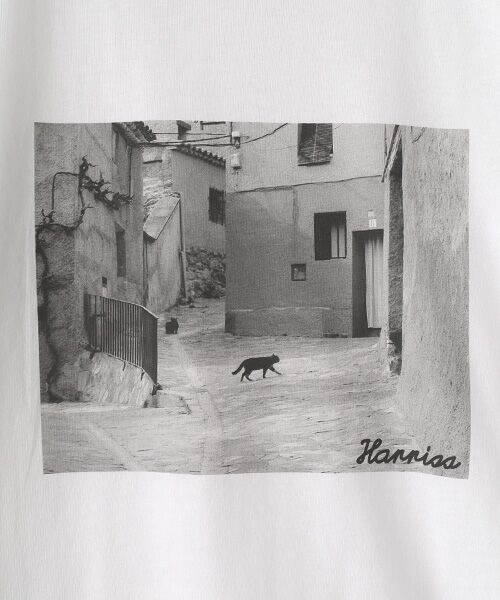 Harriss / ハリス Tシャツ | riginal Print T-shirt　CAT | 詳細6