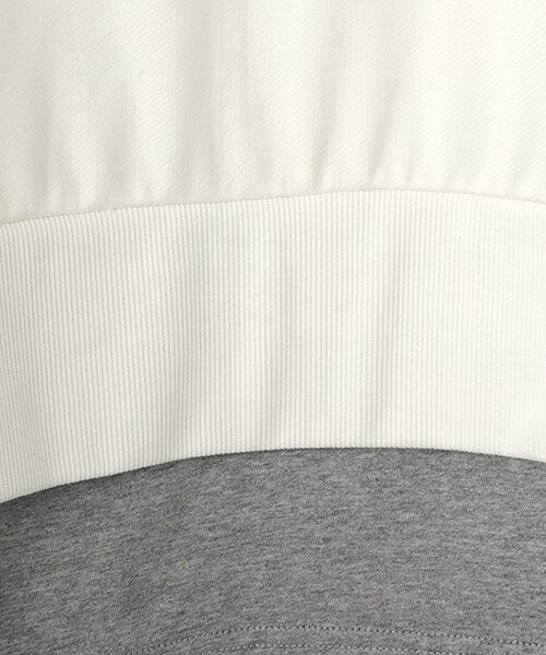 Harriss / ハリス スウェット | レイヤースエット | 詳細1