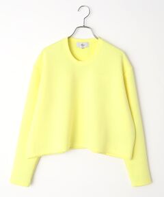 Harriss / ハリス カットソー | クルーネックプルオーバー