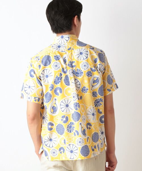 セール】 ◎◇フルーツプリントシャツ （シャツ・ブラウス