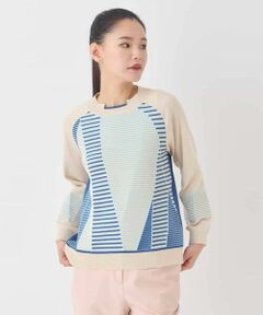 HIROKO BIS / ヒロコビス ニット・セーター | ボーダーミックスニットプルオーバー