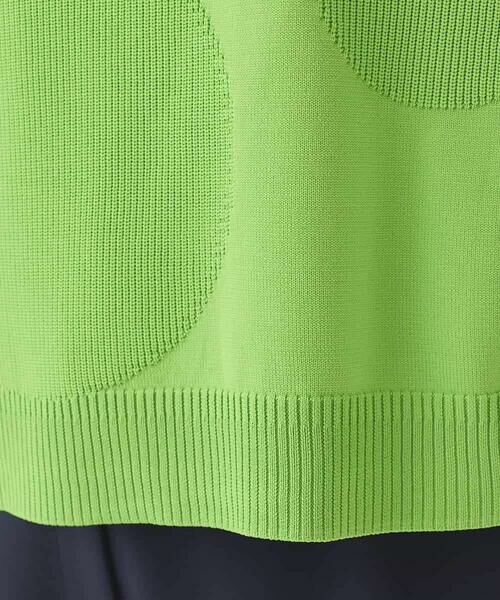 HIROKO BIS / ヒロコビス ニット・セーター | ドットジャガードニットプルオーバー | 詳細8