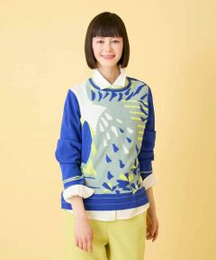 HIROKO BIS / ヒロコビス ニット・セーター | アーティスティックジャガードニットプルオーバー