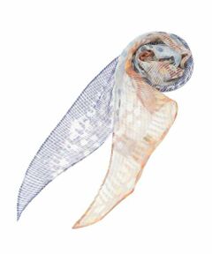 HIROKO BIS / ヒロコビス マフラー・ショール・スヌード・ストール | 剣先プリントストール