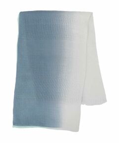 HIROKO BIS / ヒロコビス マフラー・ショール・スヌード・ストール | 麻グラデーションストール