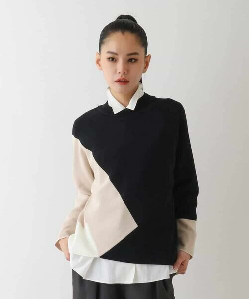 HIROKO BIS GRANDE / ヒロコビス グランデ ニット・セーター | 【大きいサイズ】パターン切り替えデザインニットプルオーバー | 詳細6