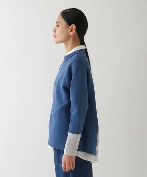 HIROKO BIS GRANDE / ヒロコビス グランデ ニット・セーター | 【大きいサイズ】パターン切り替えデザインニットプルオーバー | 詳細8