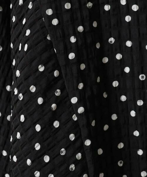 HIROKO BIS GRANDE / ヒロコビス グランデ シャツ・ブラウス | 【大きいサイズ】シアーチェックドットプリントブラウス /洗える | 詳細6