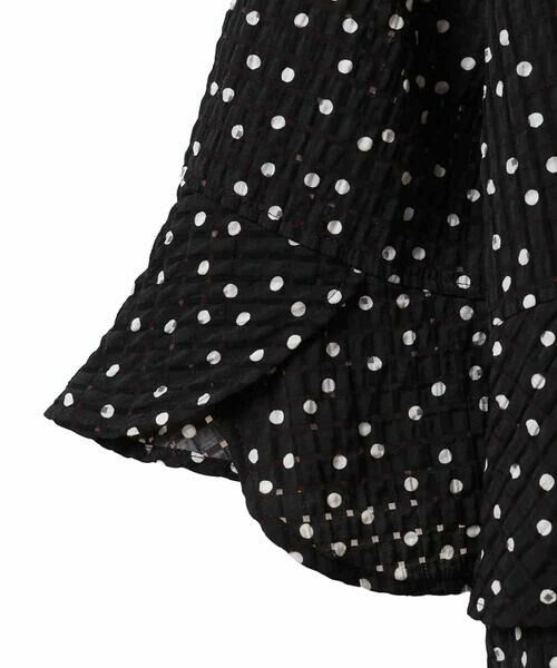 HIROKO BIS GRANDE / ヒロコビス グランデ ロング・マキシ丈ワンピース | 【大きいサイズ】シアーチェックドットプリントワンピース /洗える | 詳細5