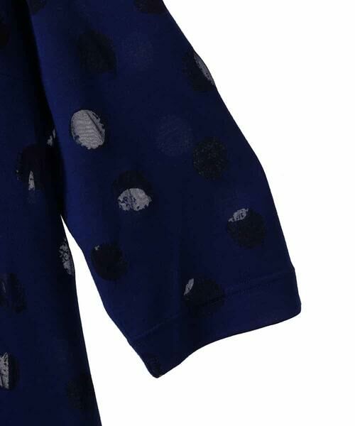 HIROKO BIS GRANDE / ヒロコビス グランデ チュニック | 【大きいサイズ】ドットシアータックデザインチュニック /洗える | 詳細3