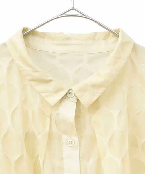 HIROKO BIS GRANDE / ヒロコビス グランデ シャツ・ブラウス | 【大きいサイズ】ドットシアーショートスリーブシャツ /洗える | 詳細2