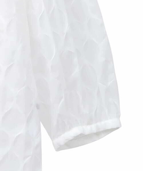 HIROKO BIS GRANDE / ヒロコビス グランデ シャツ・ブラウス | 【大きいサイズ】ドットシアータックロングシャツ /洗える | 詳細3