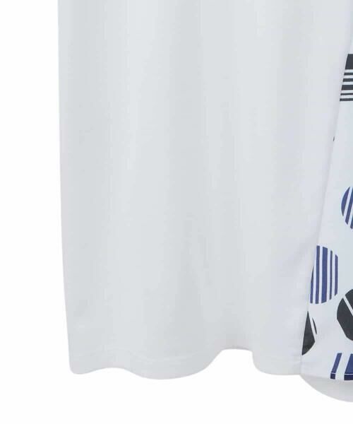 HIROKO BIS GRANDE / ヒロコビス グランデ チュニック | 【大きいサイズ】ストライプドットイレギュラーヘムカットソー /洗える | 詳細4