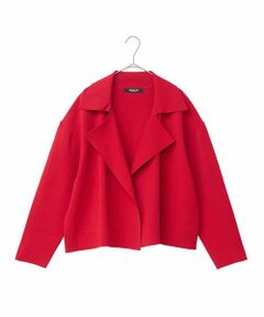 新品同様　ヒロコビス　スーツ　大きいサイズ HIROKO BIS GRANDE / ヒロコビス グランデ （レディース