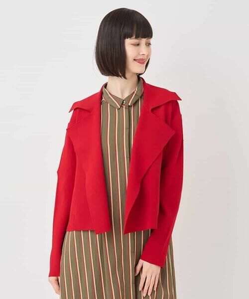 HIROKO BIS GRANDE / ヒロコビス グランデ セットアップ | 【大きいサイズ】ミラノリブニットジャケット /洗える | 詳細9