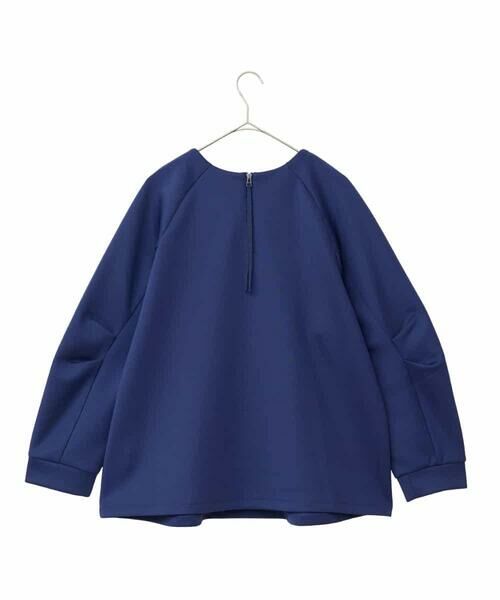 HIROKO BIS GRANDE / ヒロコビス グランデ カットソー | 【大きいサイズ】ビジューエンブロイダリープルオーバー /洗える | 詳細1