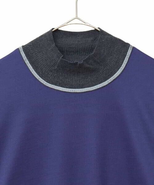 HIROKO BIS GRANDE / ヒロコビス グランデ カットソー | 【大きいサイズ】配色アクセントハイネックインナープルオーバー /洗える | 詳細2