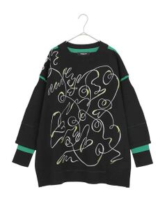 HIROKO BIS GRANDE / ヒロコビス グランデ ニット・セーター | 【大きいサイズ】ニュアンス刺繍アクセントニットプルオーバー