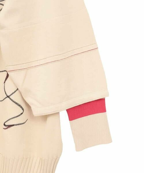 HIROKO BIS GRANDE / ヒロコビス グランデ ニット・セーター | 【大きいサイズ】ニュアンス刺繍アクセントニットプルオーバー | 詳細5