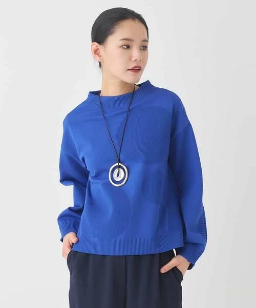 HIROKO BIS GRANDE / ヒロコビス グランデ ニット・セーター | 【大きいサイズ】ドットジャガードニットプルオーバー /洗える | 詳細20